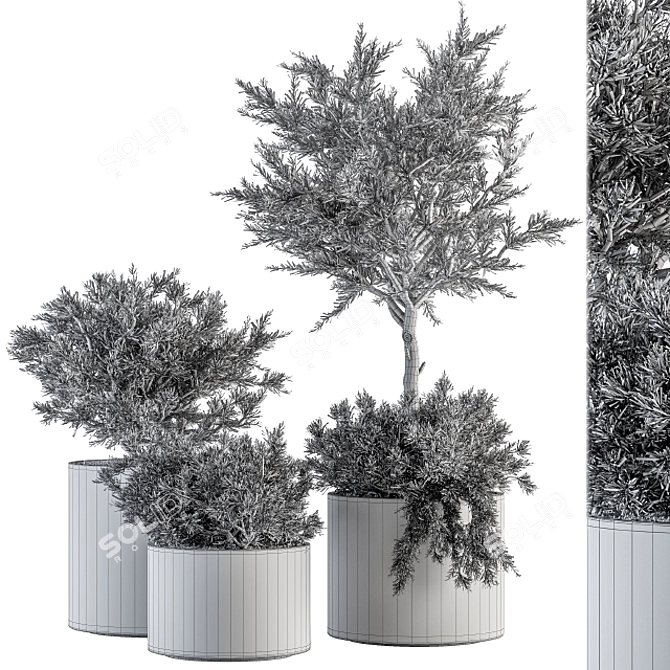 Growth Oasis: Indoor Plant Set 3D model image 3