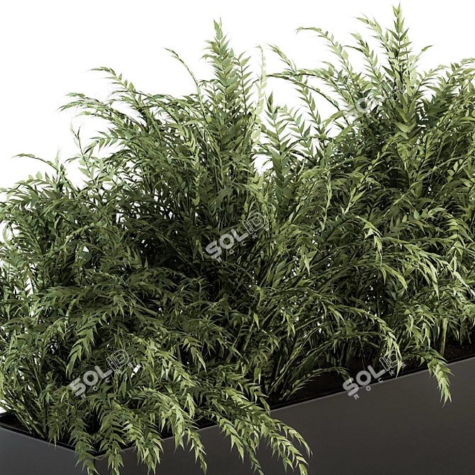 Polypodiales Plant Box Set: Outdoor Beauty 3D model image 2