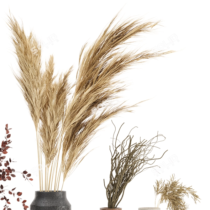 Pampas Dry Plant Set with Concrete Vase 3D model image 4