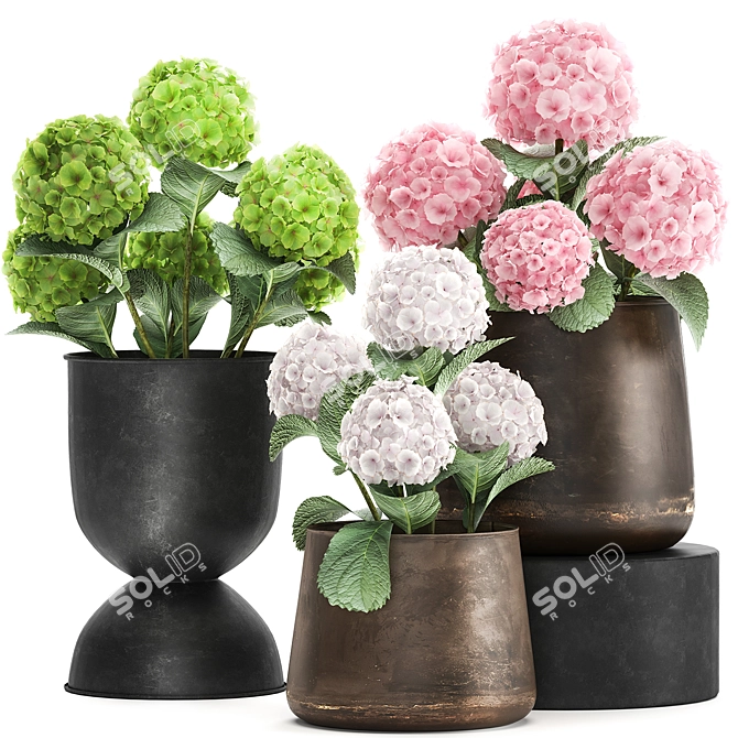 Metallic Flora Collection 3D model image 1