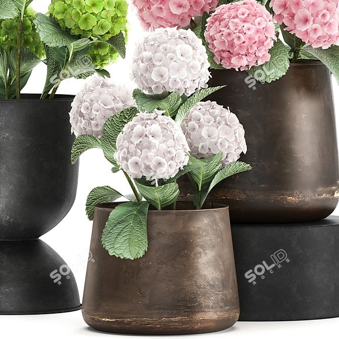 Metallic Flora Collection 3D model image 2