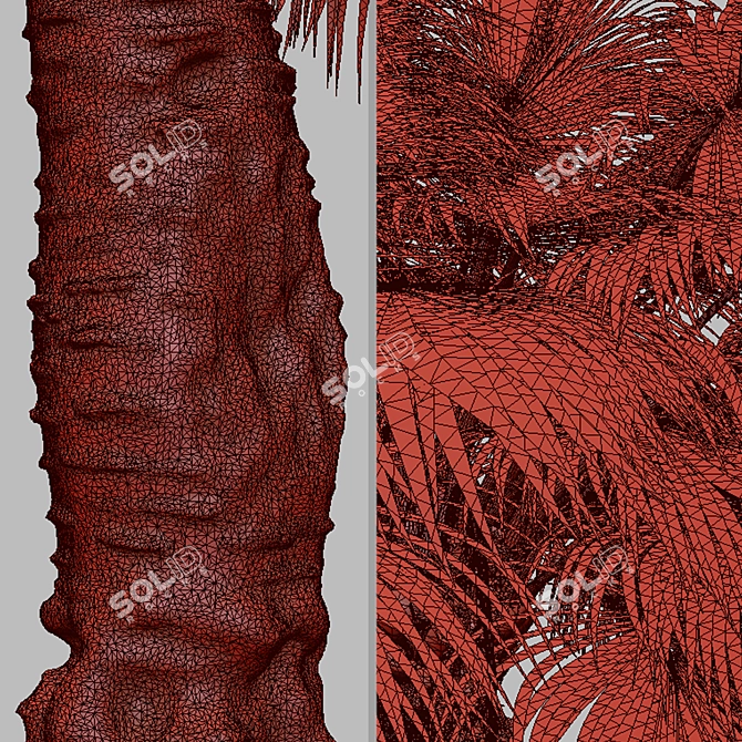 Blue Hesper Palm Delight - Set of 2 3D model image 5