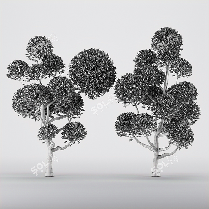 Nature's Haven Collection Tree Vol.1 3D model image 4