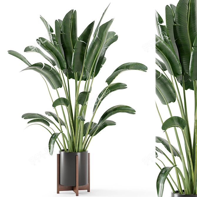 Indoor Oasis: Wooden Pot Plant Set 3D model image 1