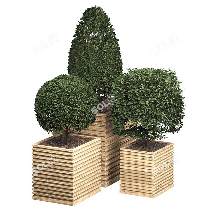 Outdoor Plant with FBX and OBJ 3D model image 2