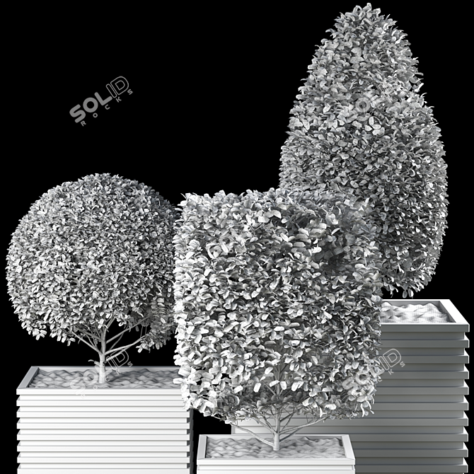 Outdoor Plant with FBX and OBJ 3D model image 4