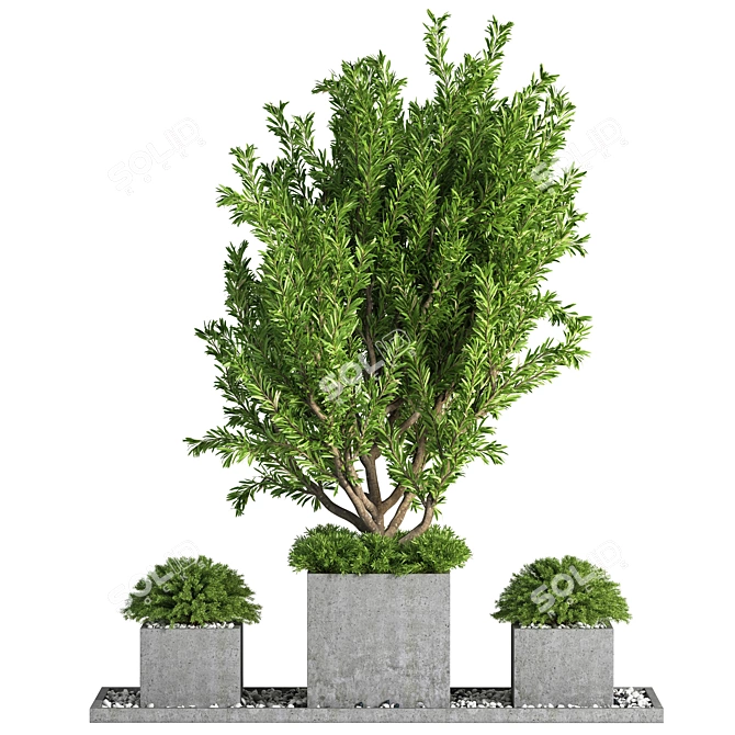 Lush Outdoor Tree - 19 3D model image 1