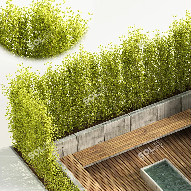 Outdoor Oasis: Backyard and Landscape 3D model image 3