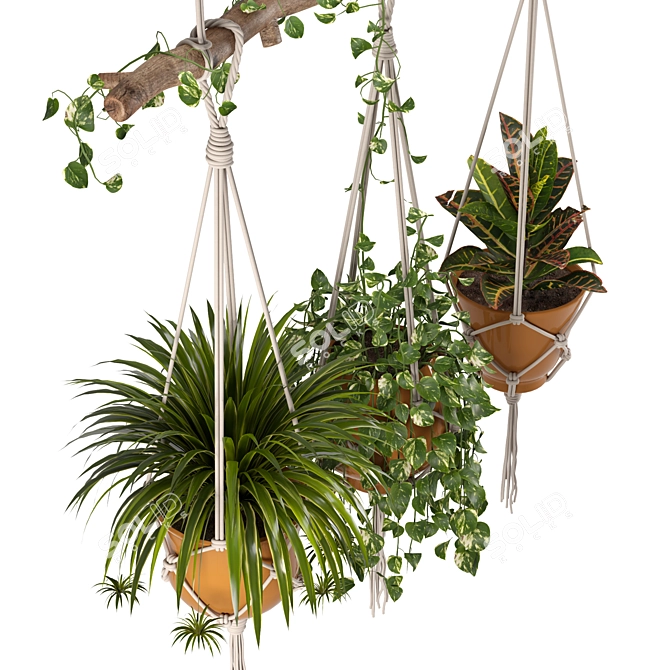 Macrame Hanging Plants Set 3D model image 2