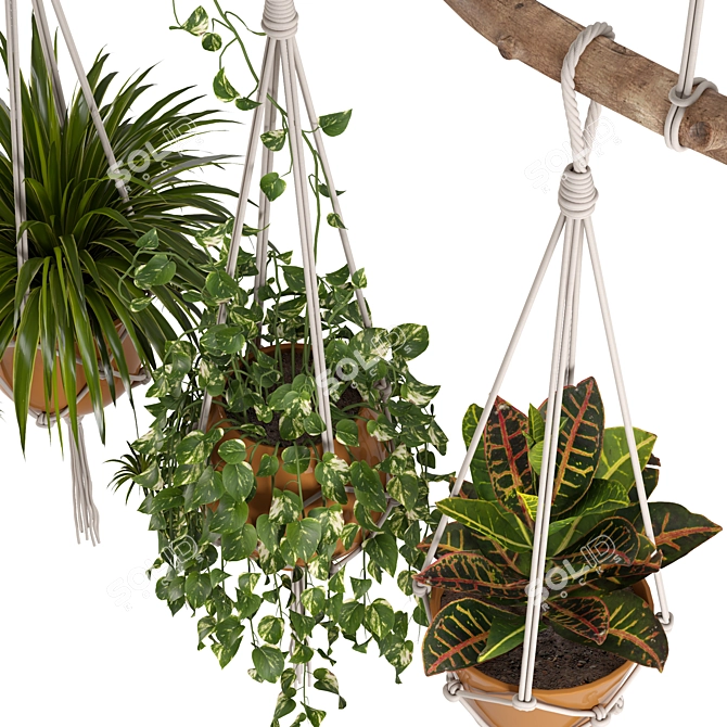 Macrame Hanging Plants Set 3D model image 4