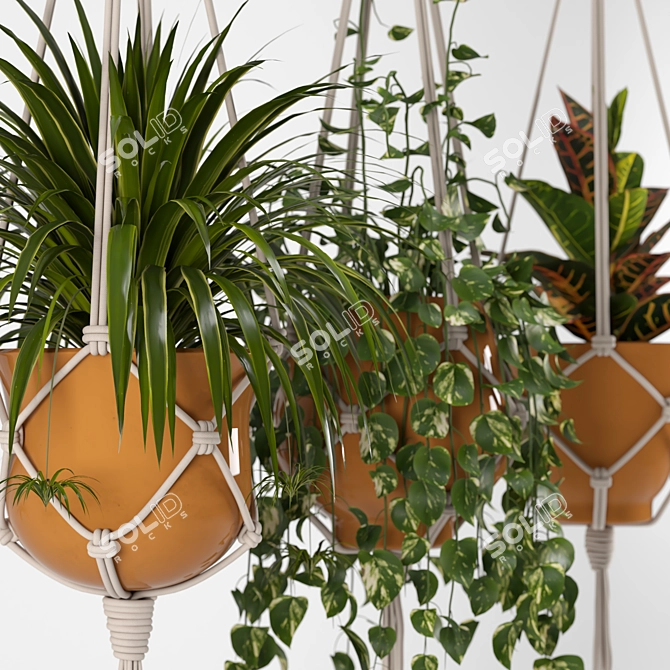 Macrame Hanging Plants Set 3D model image 6