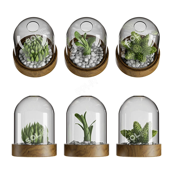 Botanical Bliss Glass Dome Set 3D model image 1