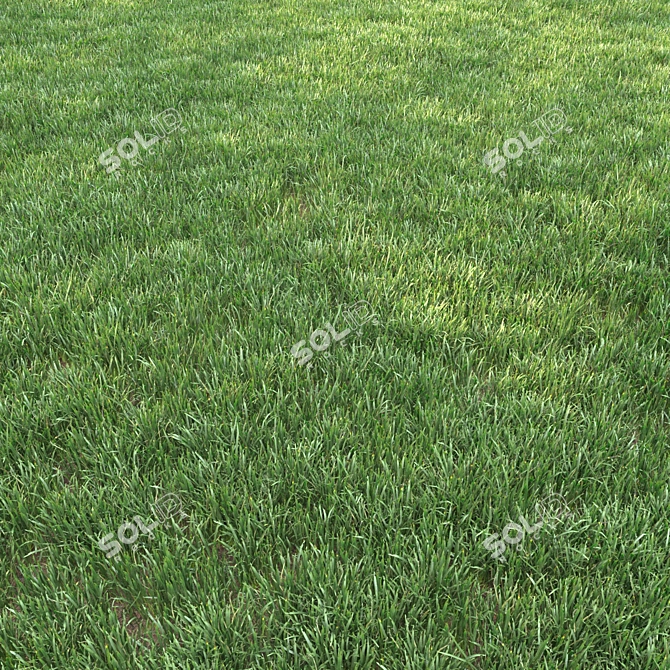 Lush Landscaping Grass: Nature-Inspired 12 Varieties 3D model image 1