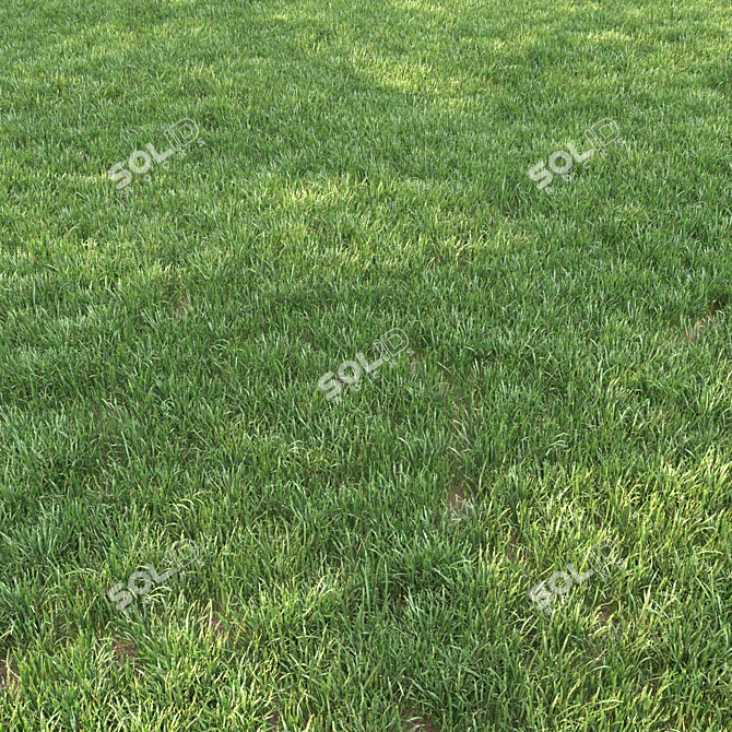 Lush Landscaping Grass: Nature-Inspired 12 Varieties 3D model image 2