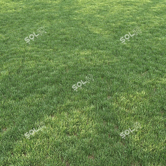 Lush Landscaping Grass: Nature-Inspired 12 Varieties 3D model image 3