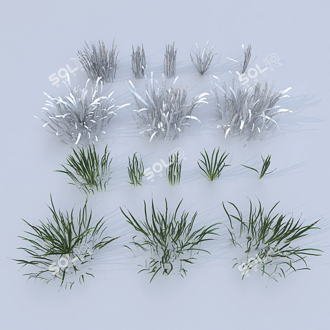 Lush Landscaping Grass: Nature-Inspired 12 Varieties 3D model image 4