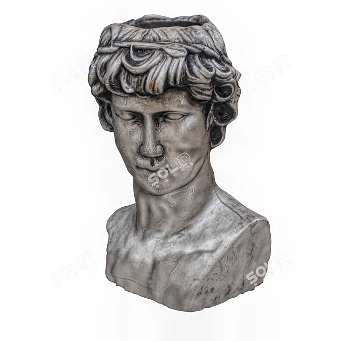 Sculpted Head: 32,006 Polygons 3D model image 1