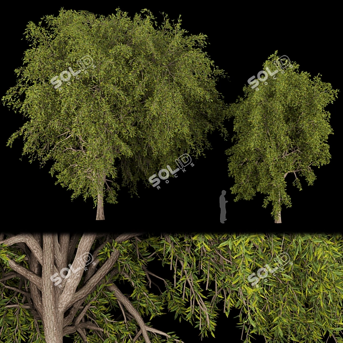 Premium Plant Collection: Volume 219 3D model image 1