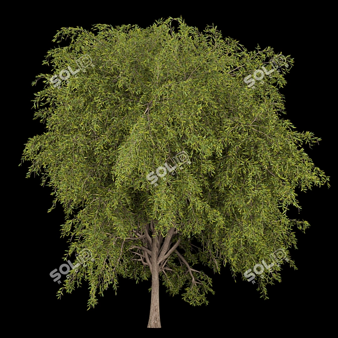 Premium Plant Collection: Volume 219 3D model image 3