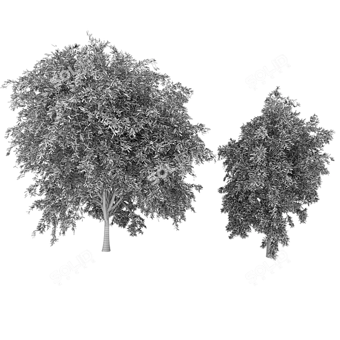 Premium Plant Collection: Volume 219 3D model image 4