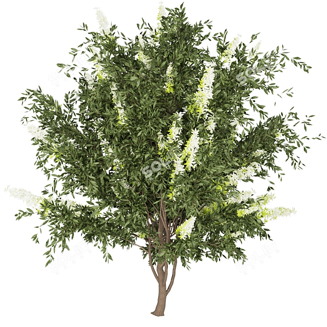 Premium Plant Collection: Vol 220 3D model image 2