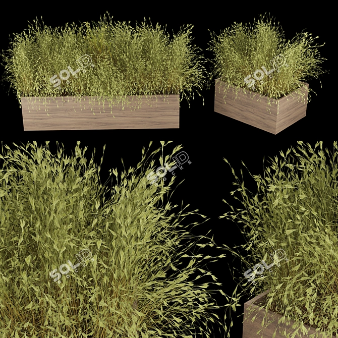 Premium Plant Collection Vol. 223 3D model image 1