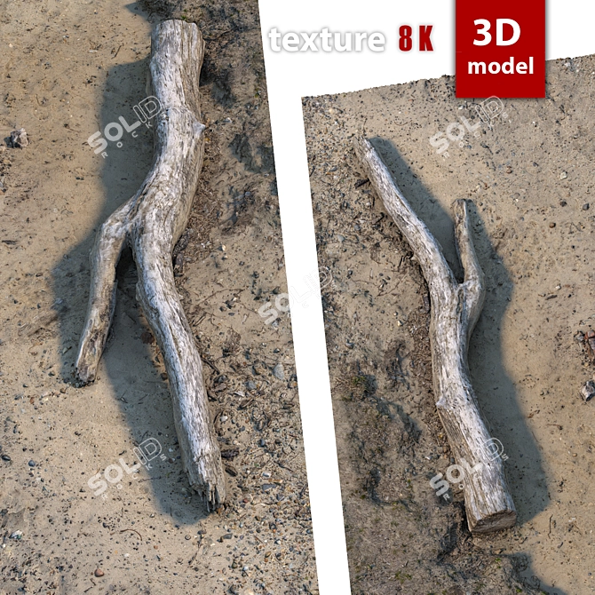 Detailed 3D Tree Model with High-resolution Texture 3D model image 3
