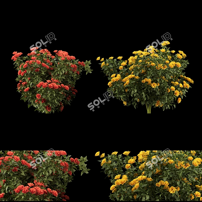 Floral Beauty Collection: Vibrant Flowering Bushes 3D model image 1