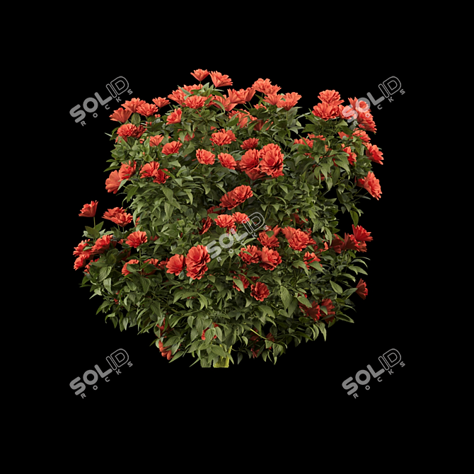 Floral Beauty Collection: Vibrant Flowering Bushes 3D model image 2