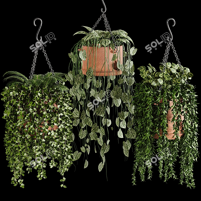 Evergreen Oasis: Hanging Plant Collection 3D model image 1