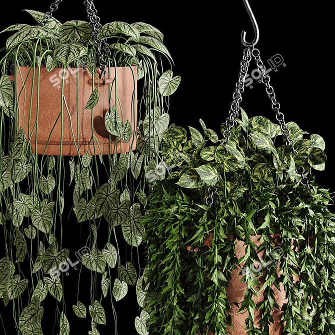 Evergreen Oasis: Hanging Plant Collection 3D model image 3