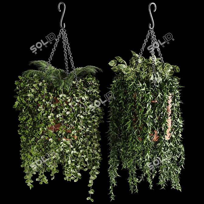 Evergreen Oasis: Hanging Plant Collection 3D model image 4
