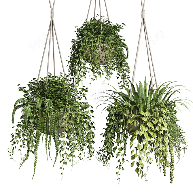 Collection of Hanging Pots for Indoor & Outdoor Plants 3D model image 1