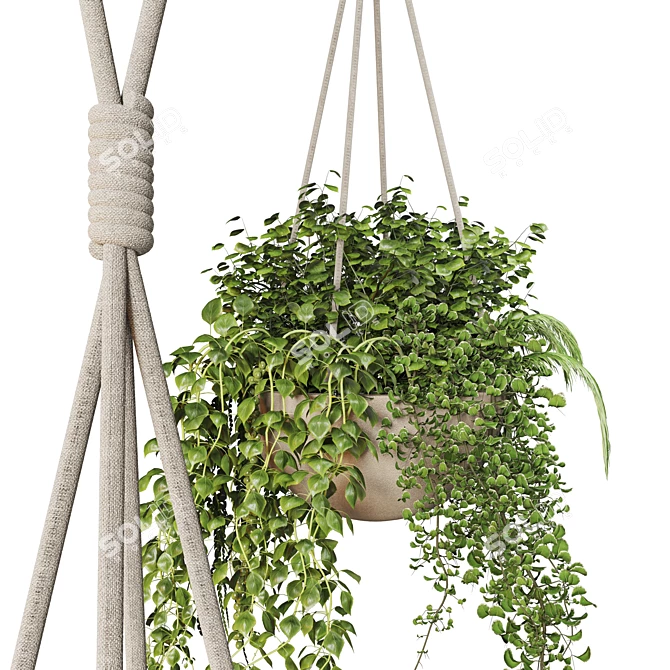 Collection of Hanging Pots for Indoor & Outdoor Plants 3D model image 2