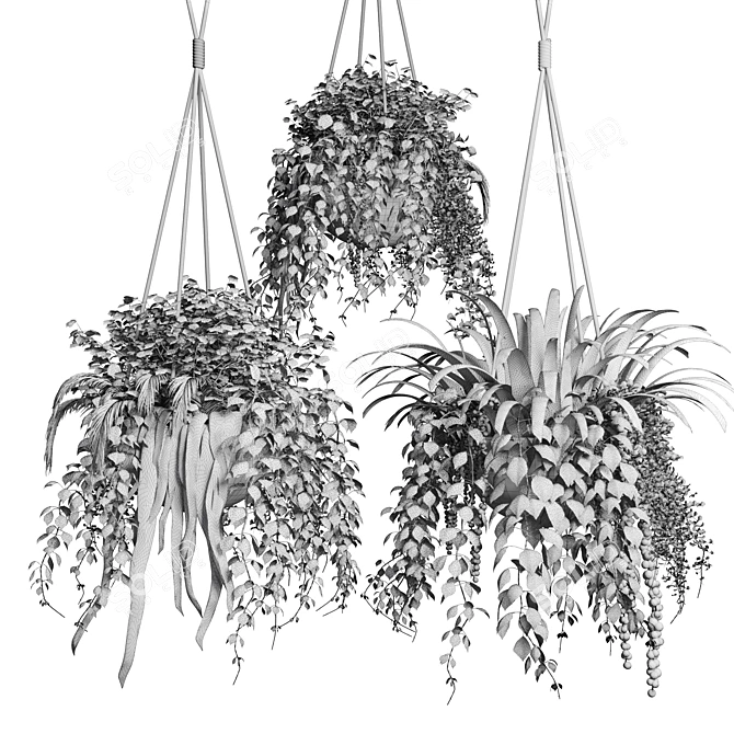 Collection of Hanging Pots for Indoor & Outdoor Plants 3D model image 4