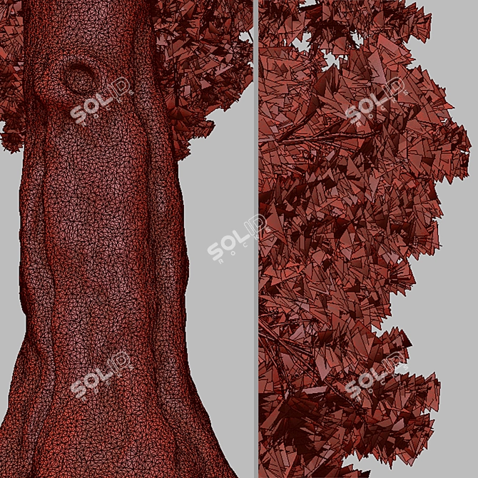 Rare Foxtail Pine Set (2 Trees) 3D model image 5