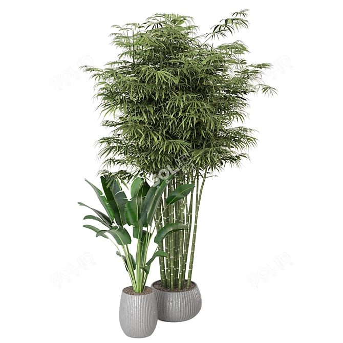 Botanical Oasis - Indoor Plants Set 3D model image 2