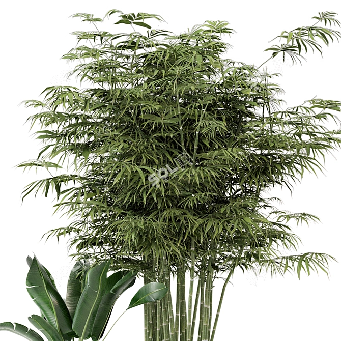 Botanical Oasis - Indoor Plants Set 3D model image 4