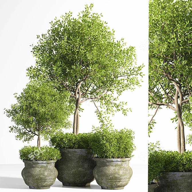 Modish Plant Stand 2015. Botanical Bliss! 3D model image 1