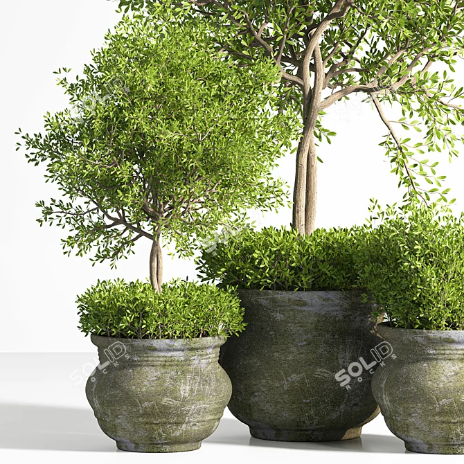 Modish Plant Stand 2015. Botanical Bliss! 3D model image 3