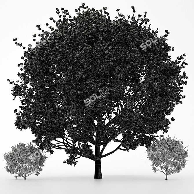 Seasonal Tree Collection: 3 Variations 3D model image 3