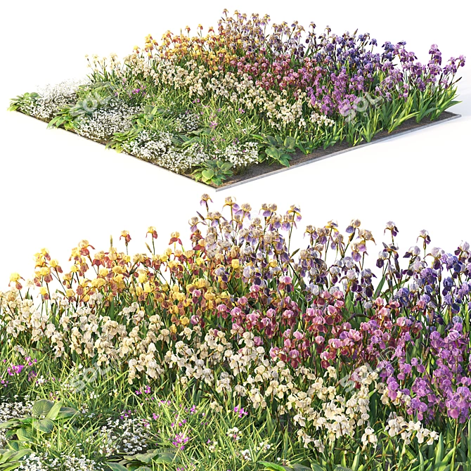 Flower Garden Oasis 3D model image 3