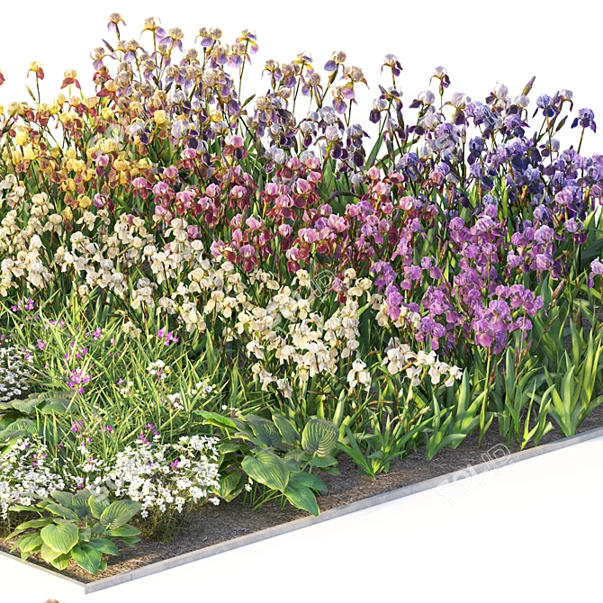 Flower Garden Oasis 3D model image 6