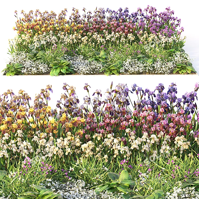 Flower Garden Oasis 3D model image 10