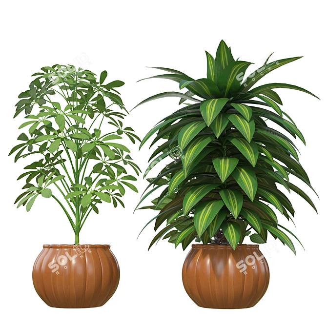 Designer Indoor Plants Collection 3D model image 3