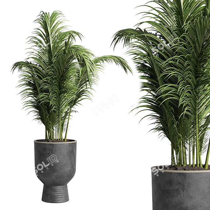 Concrete Palm Tree Vase: Indoor Plant 63 Pot 3D model image 1