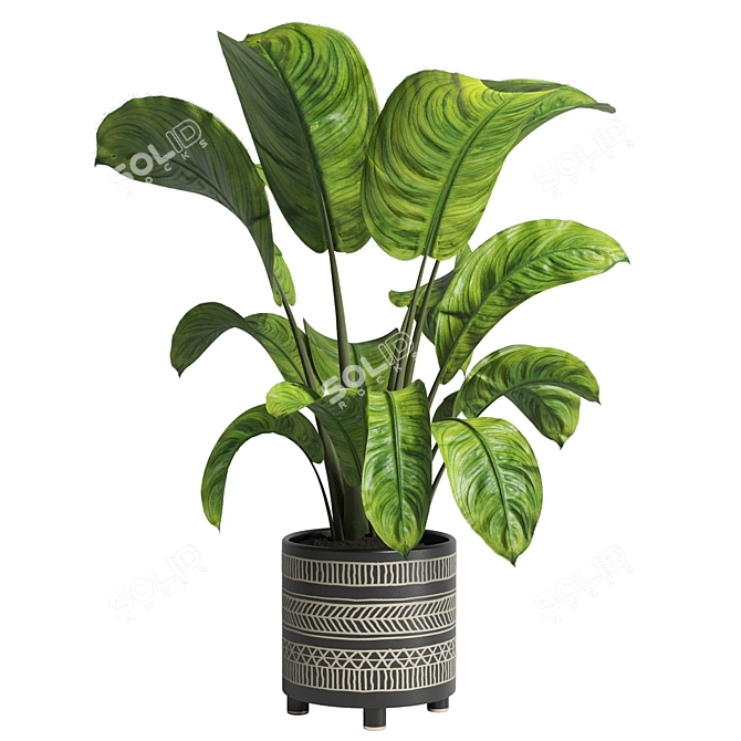 Handmade Pottery Indoor Plant Vase 3D model image 1