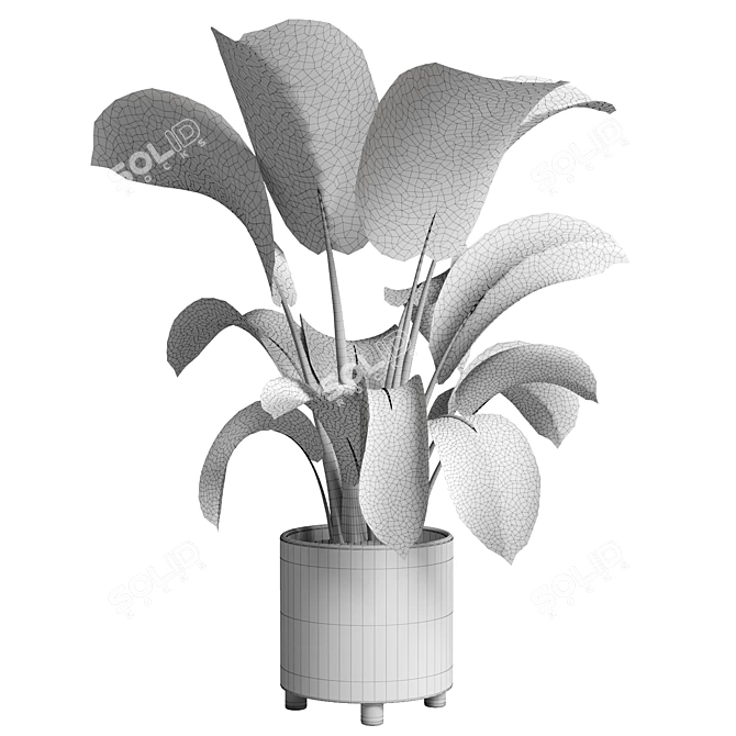 Handmade Pottery Indoor Plant Vase 3D model image 4