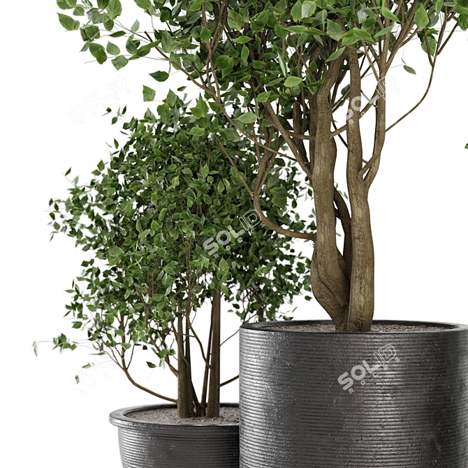 Rustic Outdoor Plant Set 3D model image 2