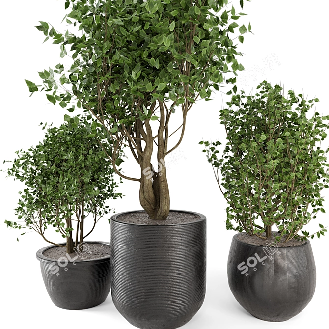 Rustic Outdoor Plant Set 3D model image 3